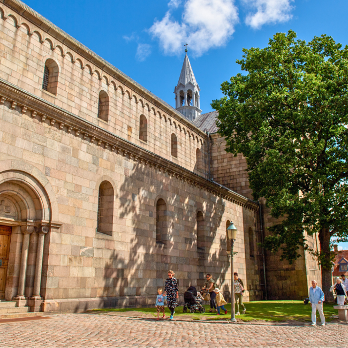 En gruppe mennesker ankommer til Viborg Domkirke